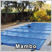mambo_nieuw