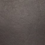 donkerbruin skaileer